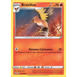 Braisillon DAA - 031/189