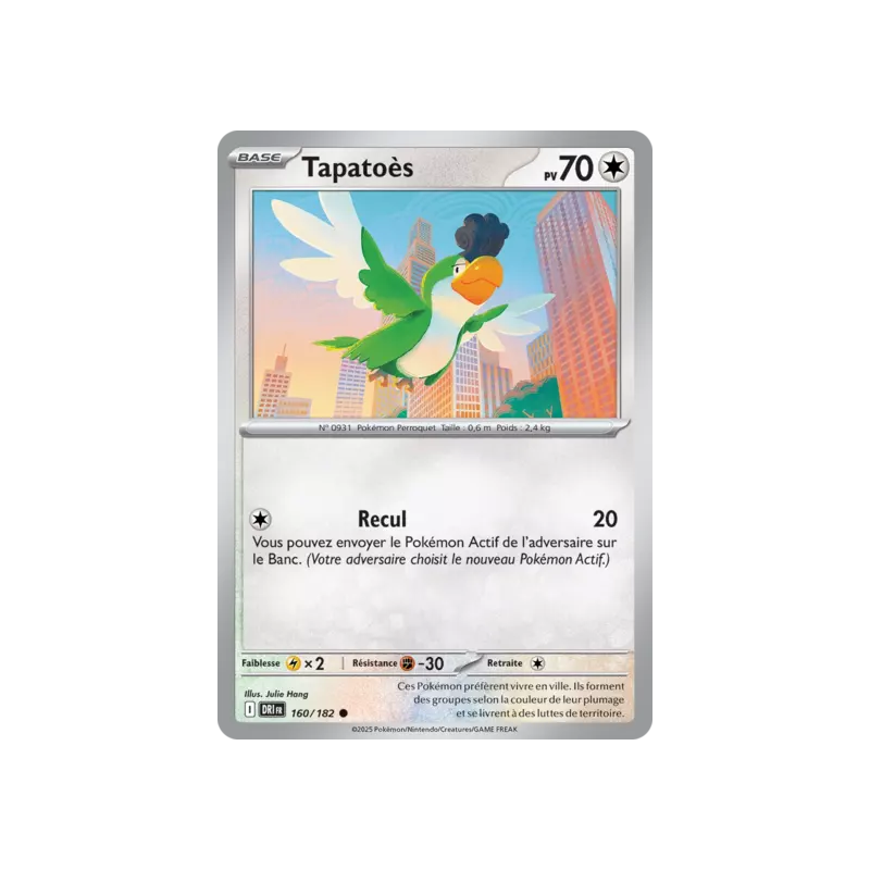 Tapatoès DRI - 160/182