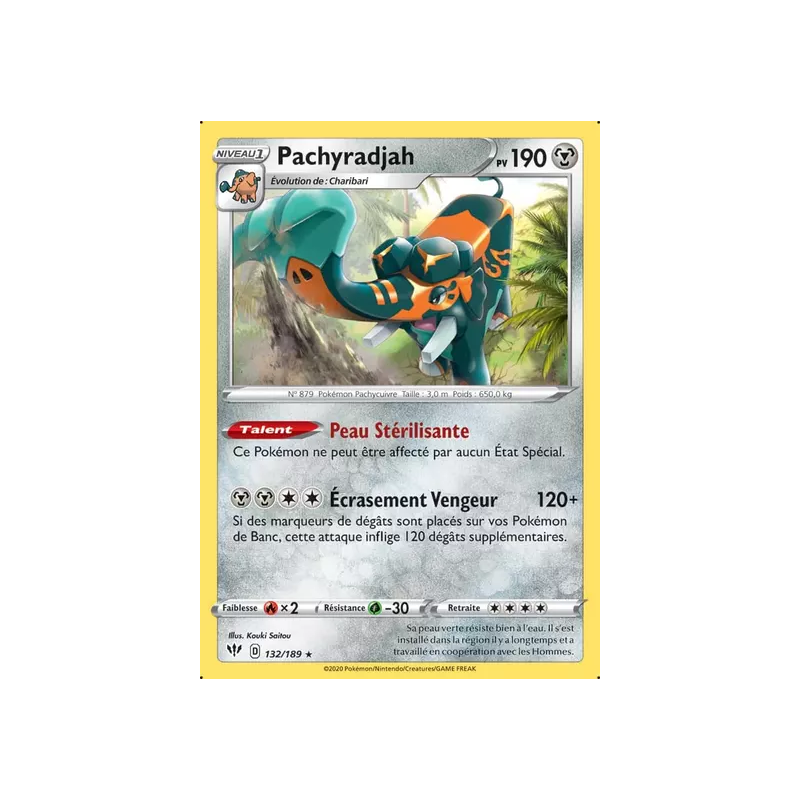 Pachyradjah DAA - 132/189