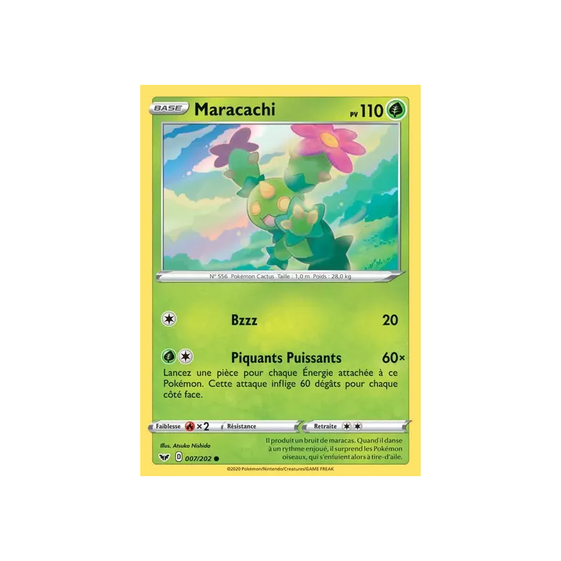 Maracachi SSH - 007/202