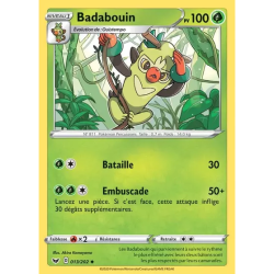 Badabouin SSH - 013/202