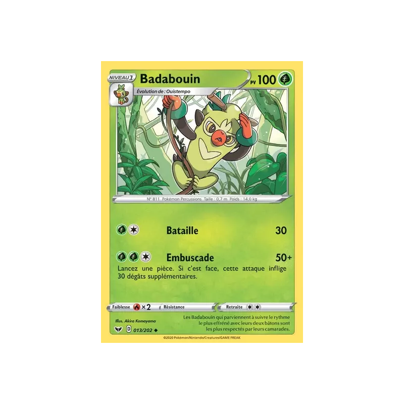 Badabouin SSH - 013/202