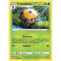 Coléodôme SSH - 018/202