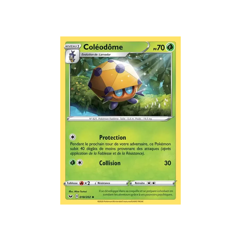 Coléodôme SSH - 018/202