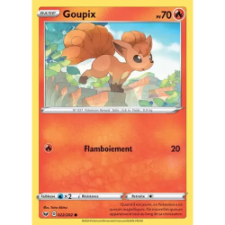 Goupix SSH - 022/202