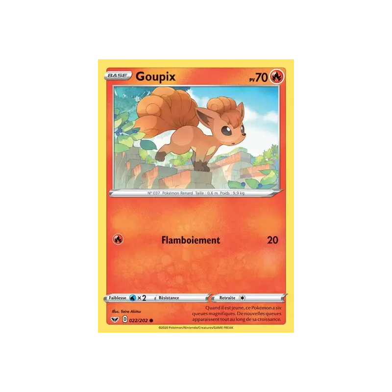 Goupix SSH - 022/202