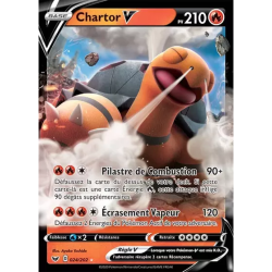 Chartor V SSH - 024/202