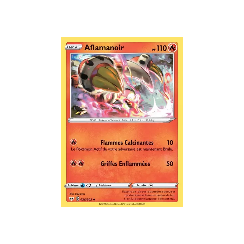Aflamanoir SSH - 026/202
