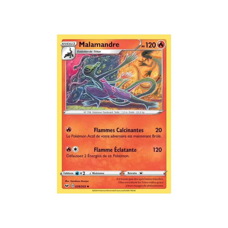 Malamandre SSH - 028/202