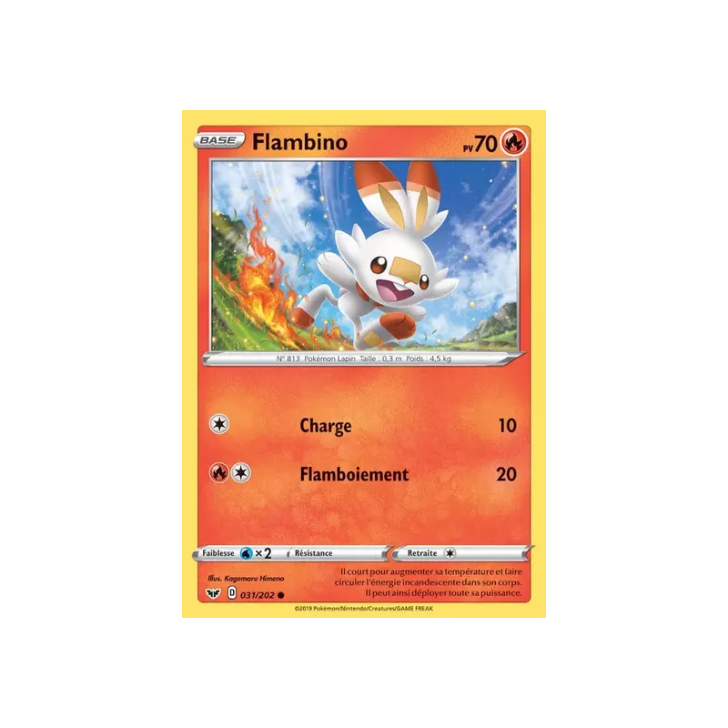Flambino SSH - 031/202