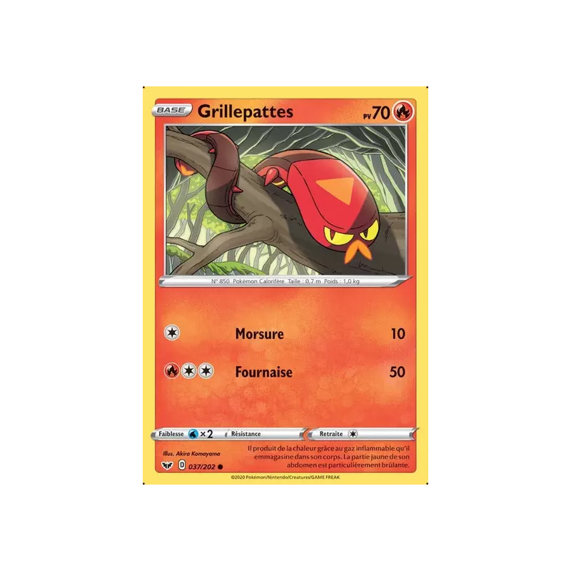 Grillepattes SSH - 037/202