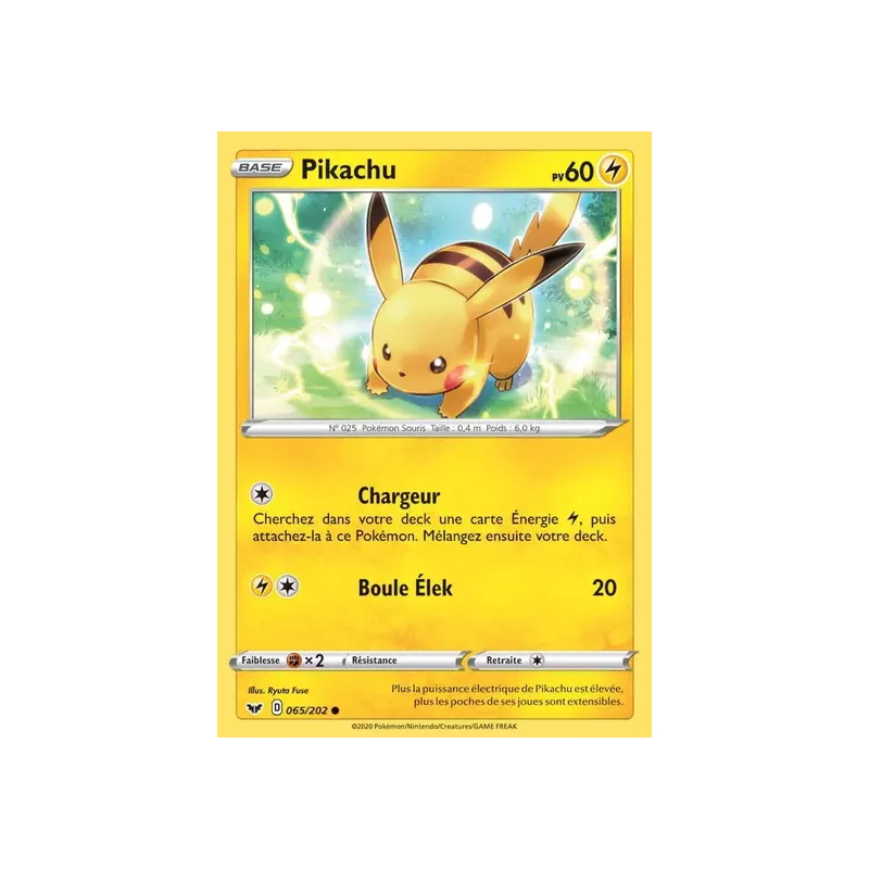 Pikachu SSH - 065/202