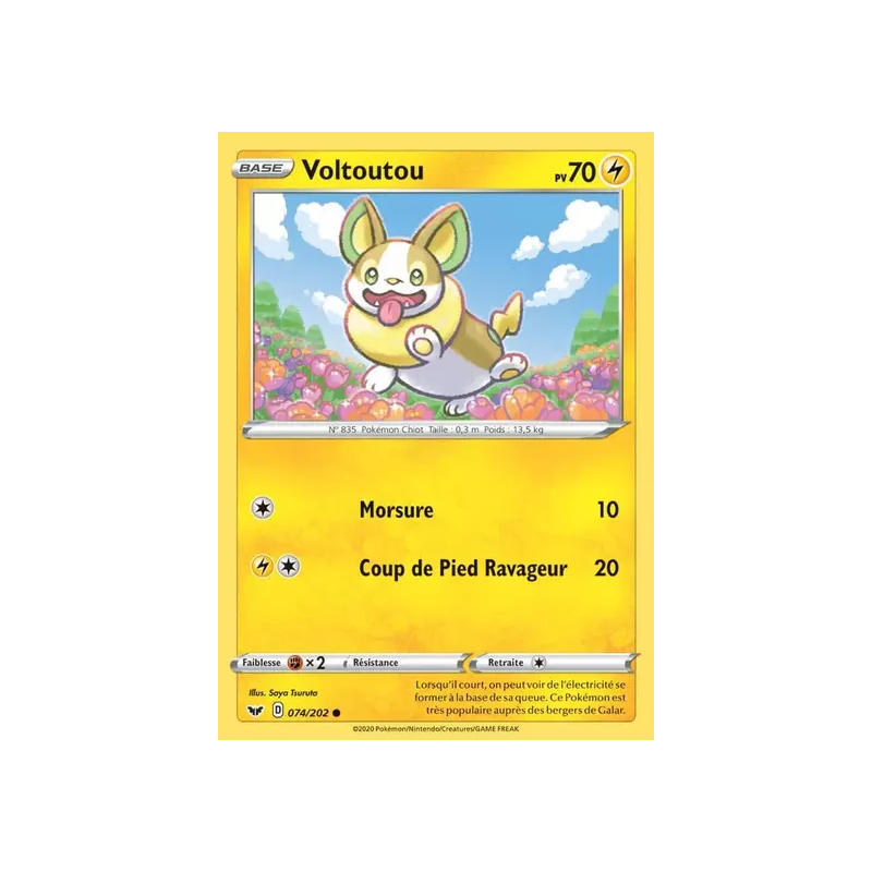Voltoutou SSH - 074/202
