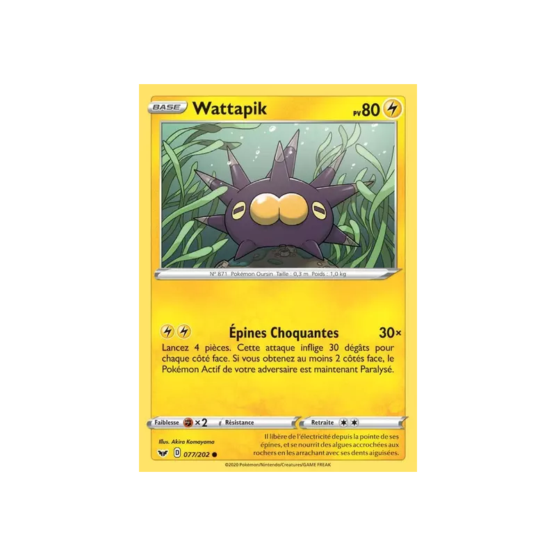 Wattapik SSH - 077/202
