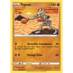 Tygnon SSH - 095/202