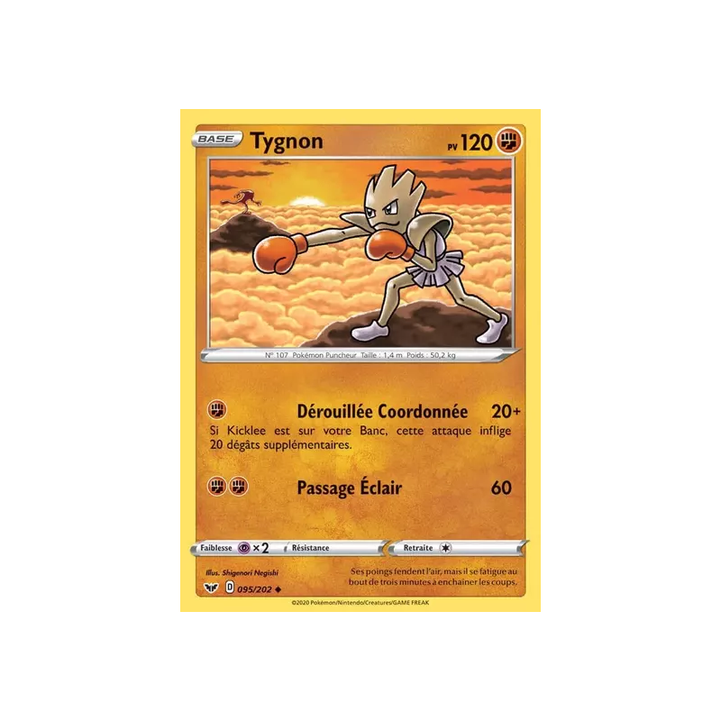 Tygnon SSH - 095/202