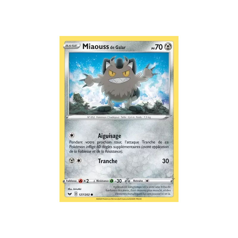 Miaouss de Galar SSH - 127/202