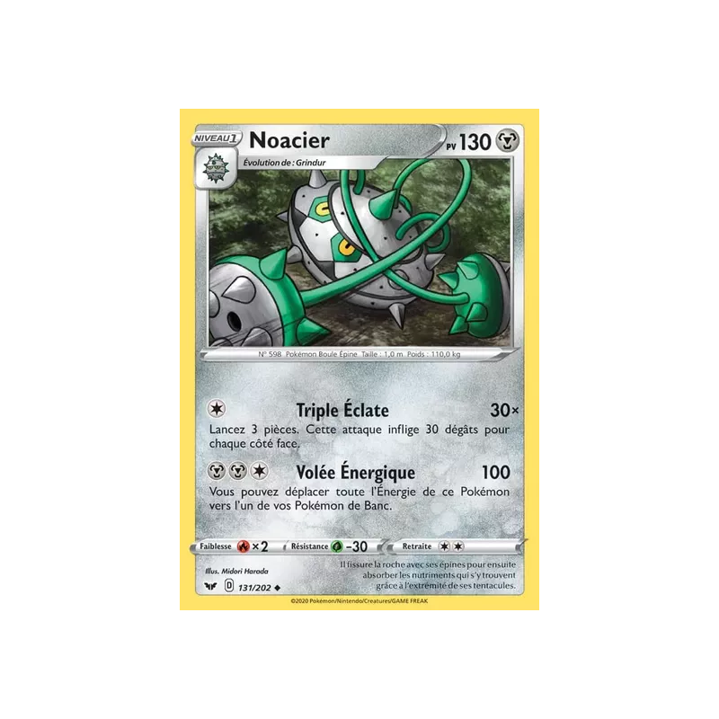 Noacier SSH - 131/202