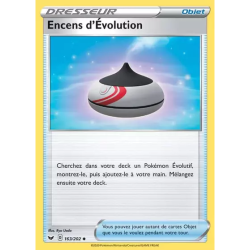 Encens d'Évolution SSH - 163/202