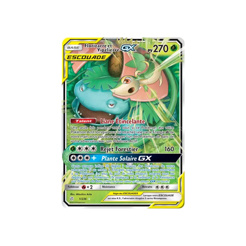 Florizarre et Vipélierre Escouade CEC - 001/236
