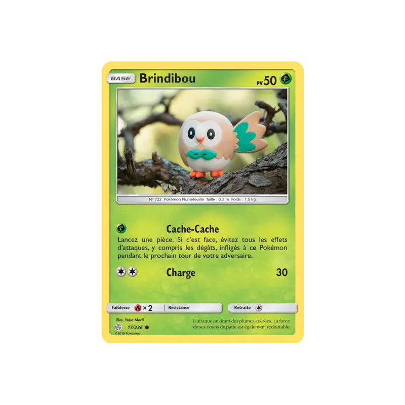 Brindibou CEC - 017/236