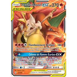 Dracaufeu et Roussil Escouade CEC - 022/236