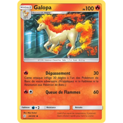 Galopa CEC - 024/236