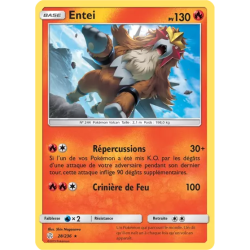 Entei CEC - 028/236