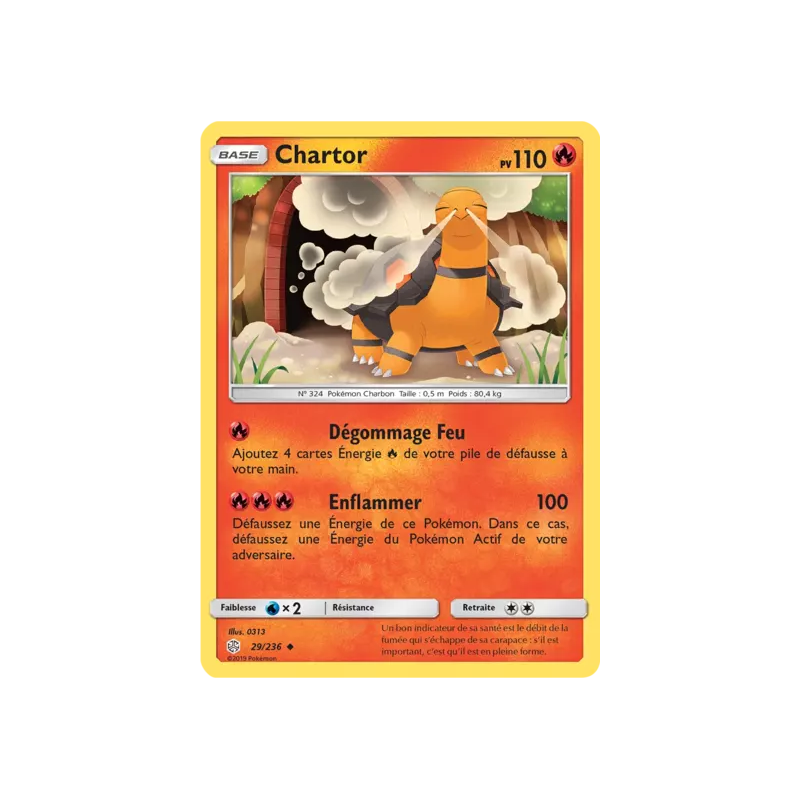 Chartor CEC - 029/236