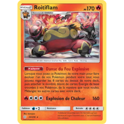 Roitiflam CEC - 033/236