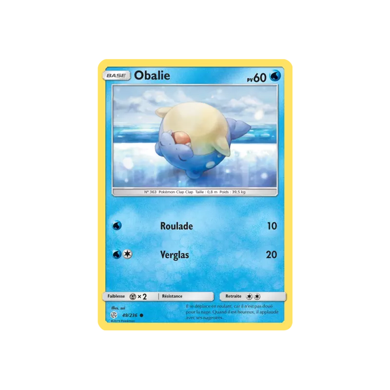 Obalie CEC - 049/236