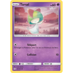 Tarsal CEC - 080/236