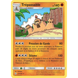 Trépassable CEC - 127/236