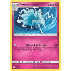 Feunard d'Alola CEC - 145/236