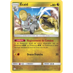 Écaïd CEC - 162/236