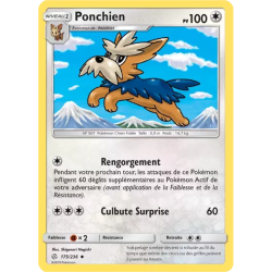 Ponchien CEC - 175/236