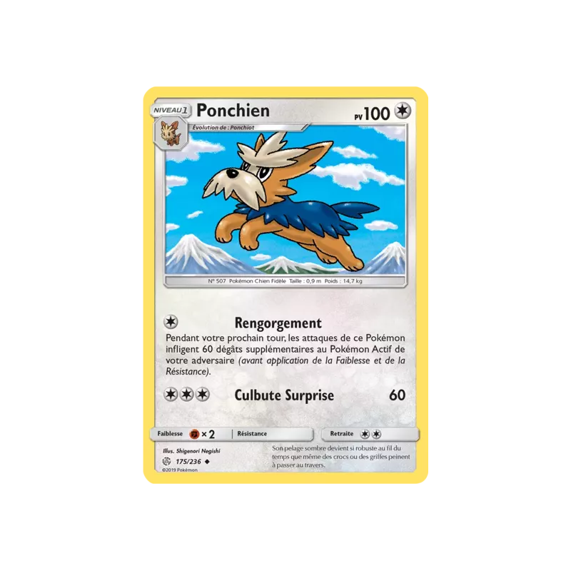Ponchien CEC - 175/236