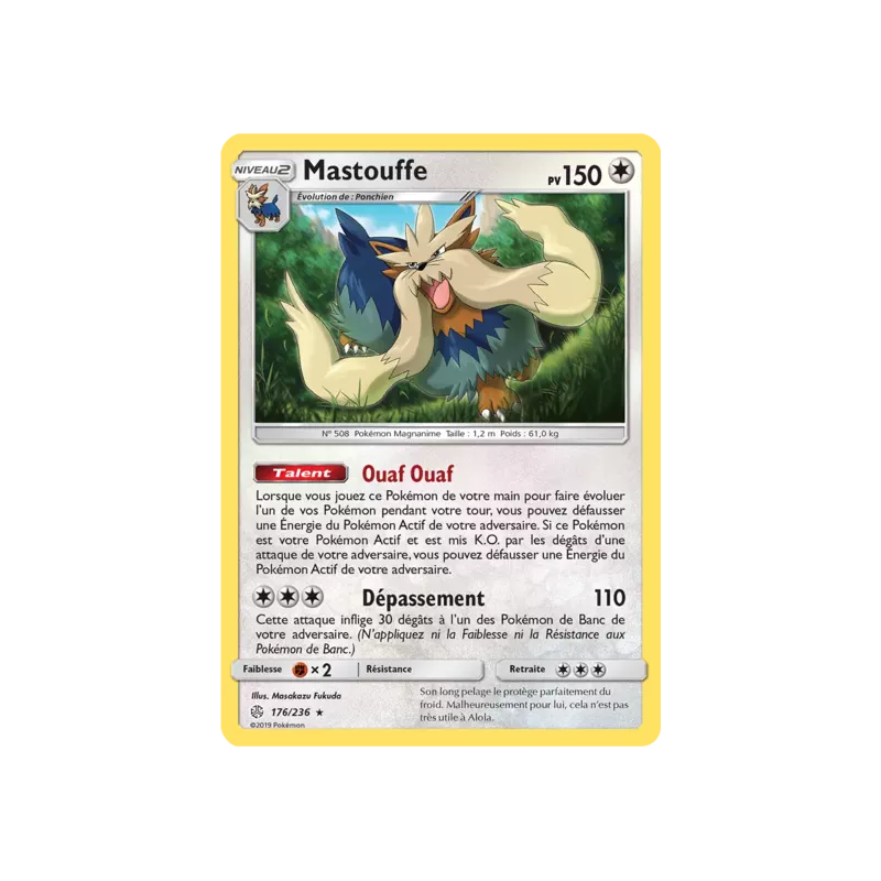 Mastouffe CEC - 176/236