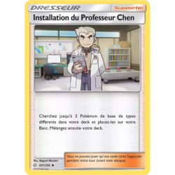 Installation du Professeur Chen CEC - 201/236