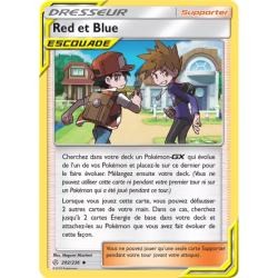 Red et Blue CEC - 202/236