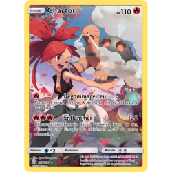 Chartor CEC - 237/236