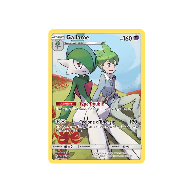 Gallame CEC - 244/236