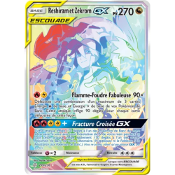 Reshiram et Zekrom Escouade CEC - 259/236