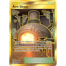 Âtre Géant CEC - 263/236