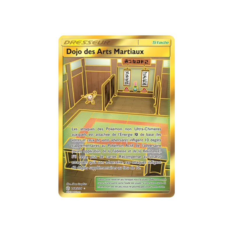 Dojo des Arts Martiaux CEC - 268/236