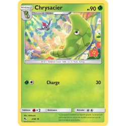 Chrysacier HIF - 02/68