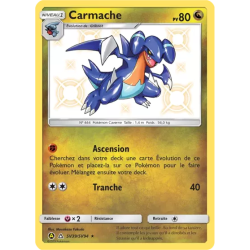 Carmache HIF - SV39/SV94