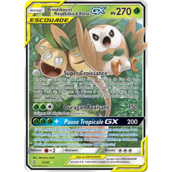 Brindibou et Noadkoko d'Alola Escouade UNM - 001/236