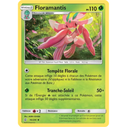 Floramantis UNM - 016/236