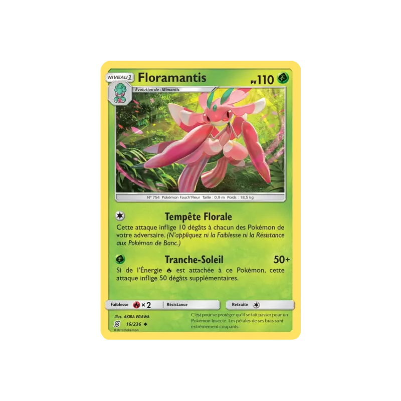 Floramantis UNM - 016/236